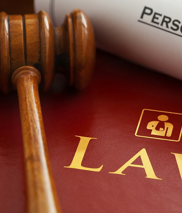 Immigration Law